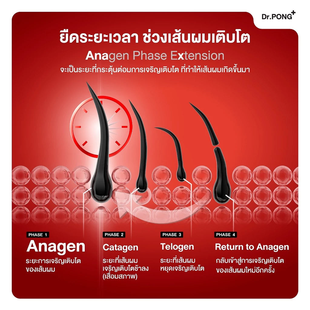 Dr.PONG Official Website