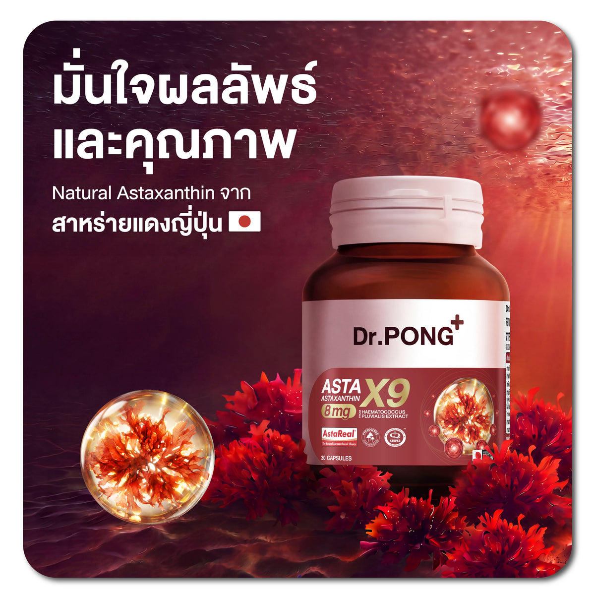 Dr.PONG Official Website