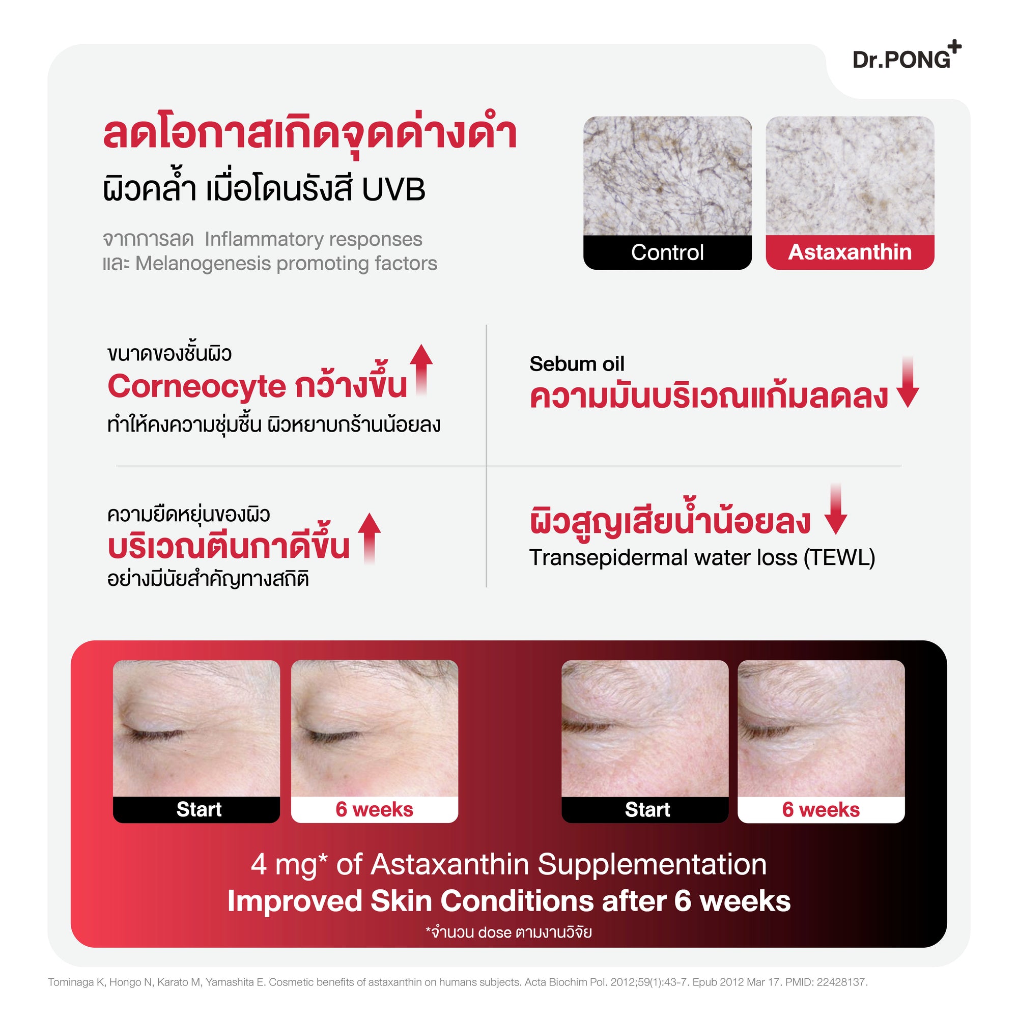 Dr.PONG Official Website