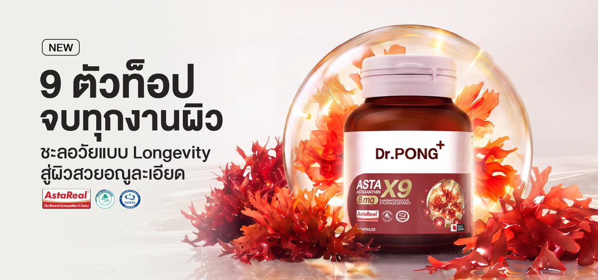 Dr.PONG Official Website