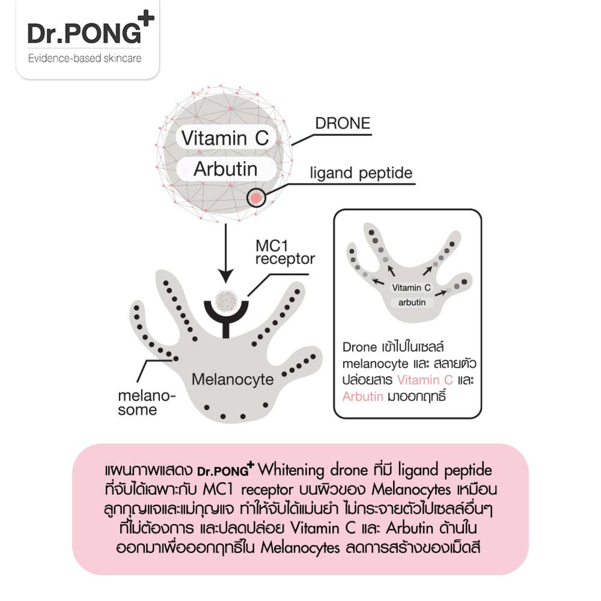 Dr.PONG 28D WHITENING DRONE BODY SERUM 60ml