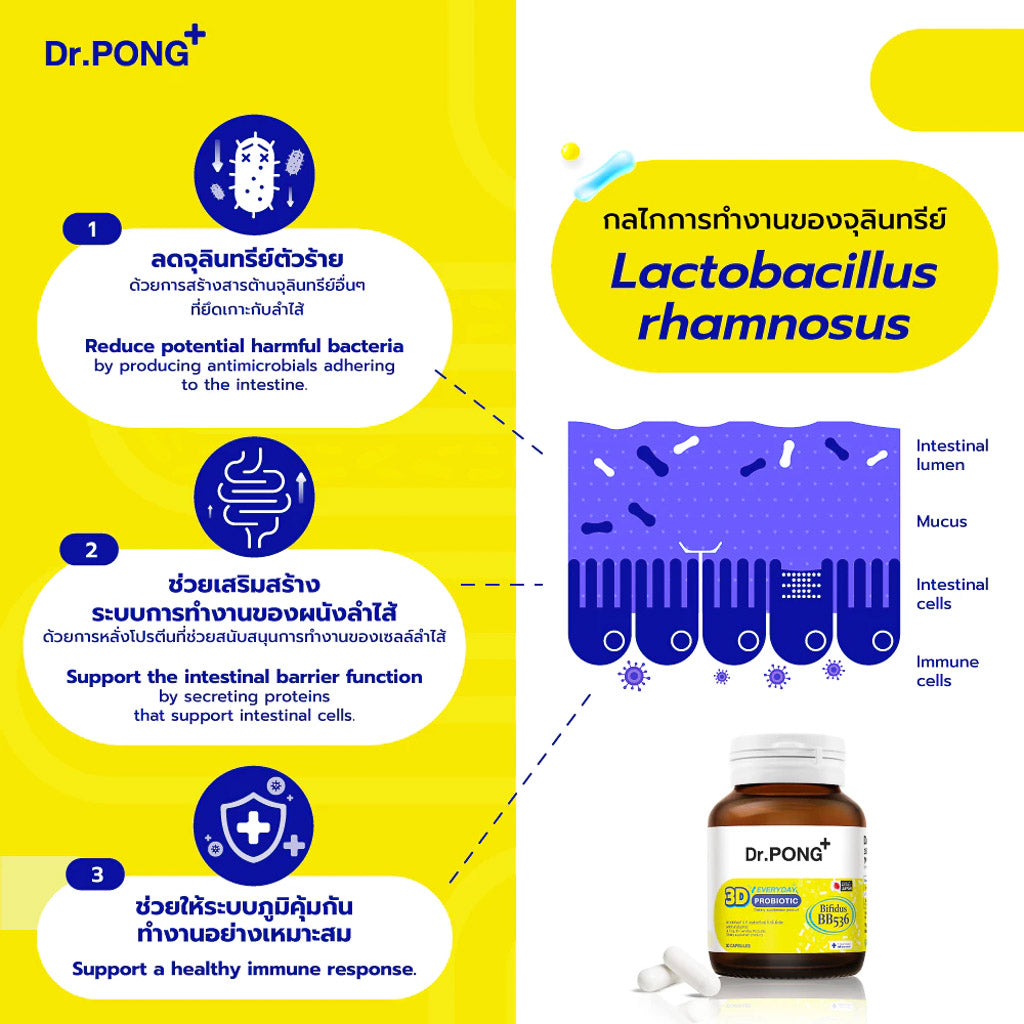 Dr.PONG 3D EVERYDAY PROBIOTIC
