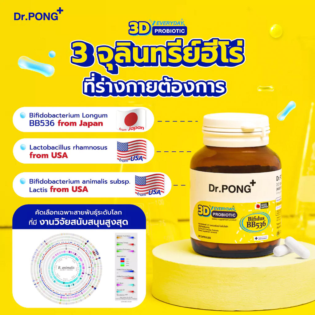 Dr.PONG Official Website