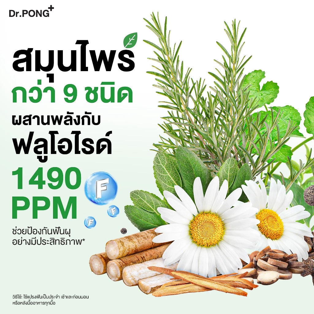 Dr.PONG 9X HERBAL PLUS FLUORIDE TOOTHPASTE
