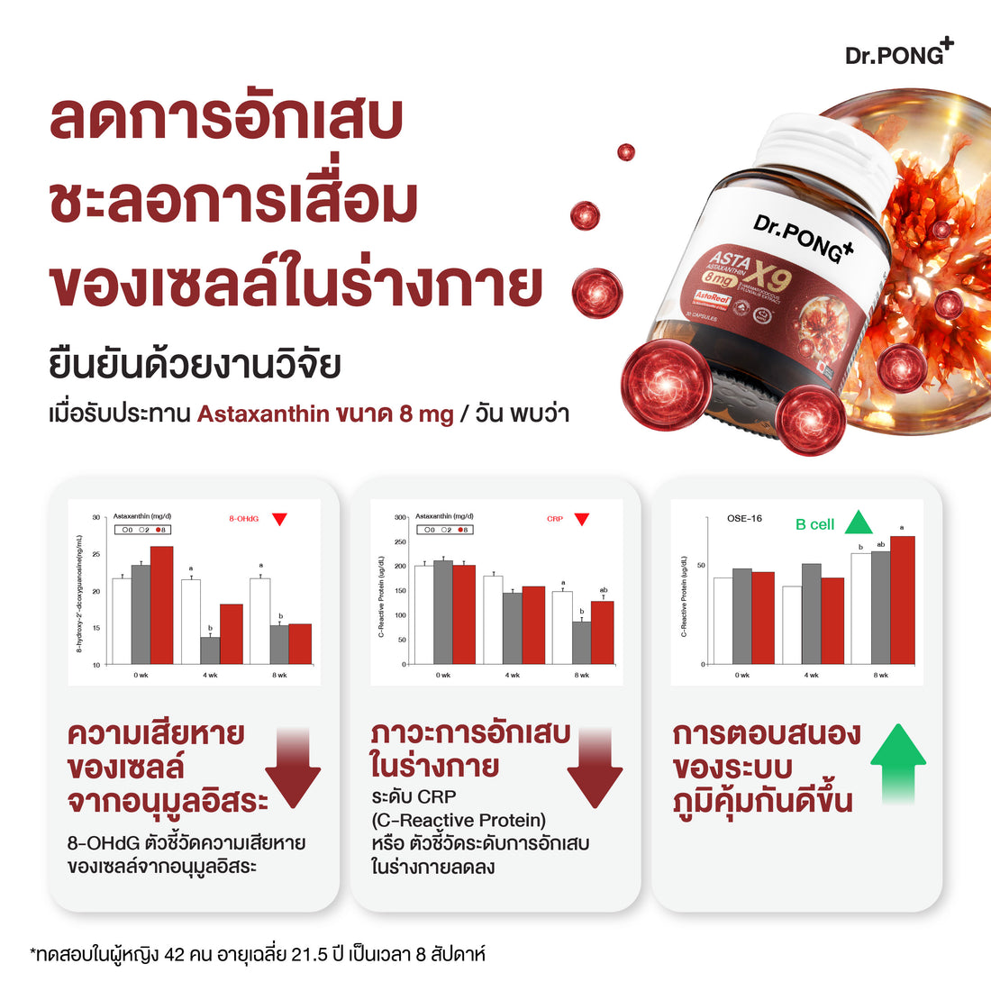 <strong>💊 รับประทานวันละ 1-2 แคปซูล พร้อมมื้ออาหาร</strong>