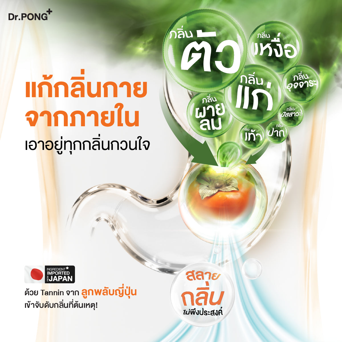 Dr.PONG INNERDEO JAPANESE PERSIMMON SUGAR FREE LOZENGES เม็ดอมดับกลิ่น