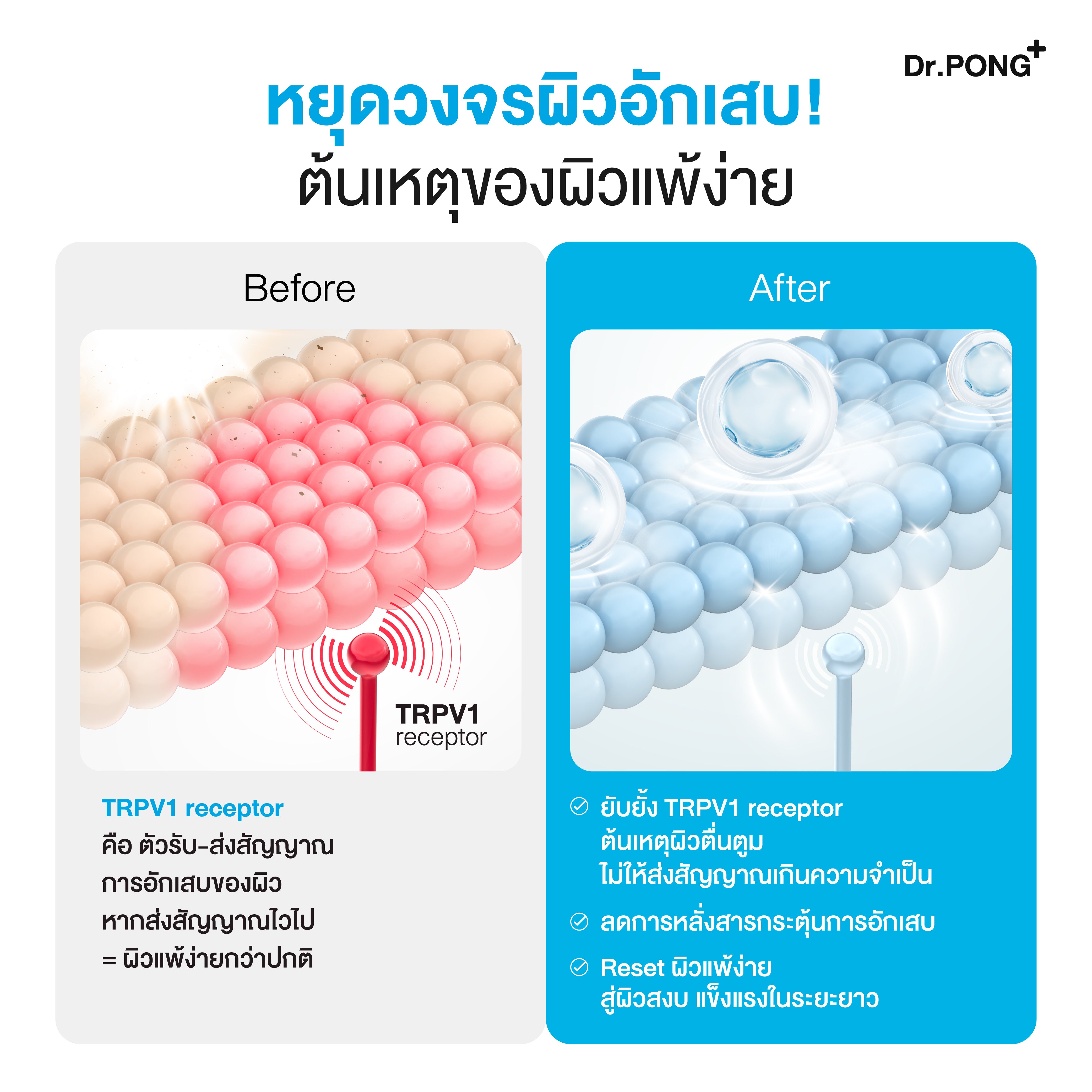 Dr.PONG CALMMEA 1.5 SOOTHING GEL CREAM