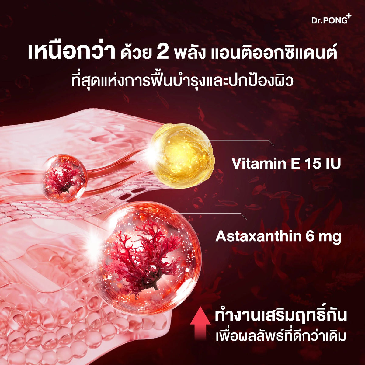 Dr.PONG ASTAXANTHIN MINI 6 MG PLUS VITAMIN E 30Capsules
