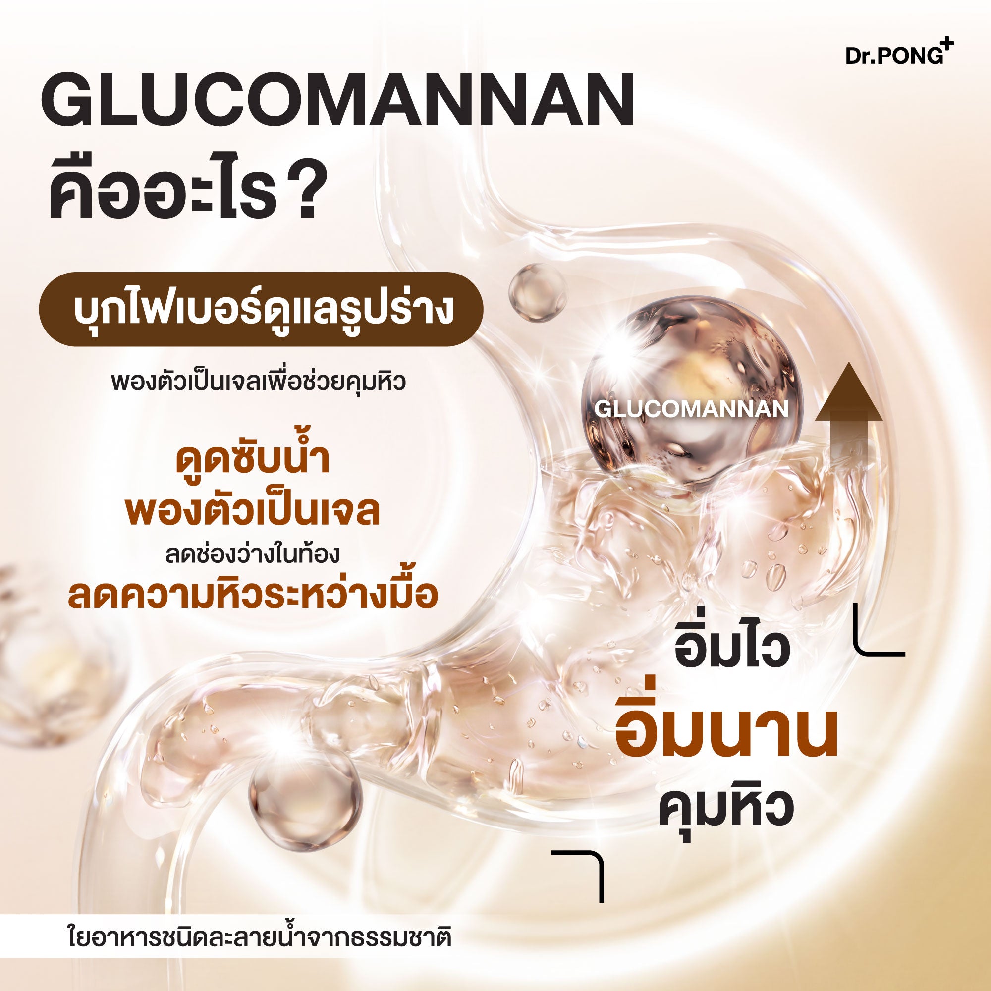 Dr.PONG FIBER XS GLUCOMANNAN ไฟเบอร์ XS  บุกคุมหิว อิ่มนาน  ชะลอการดูดซึมน้ำตาล และลดคอเลสเตอรอล
