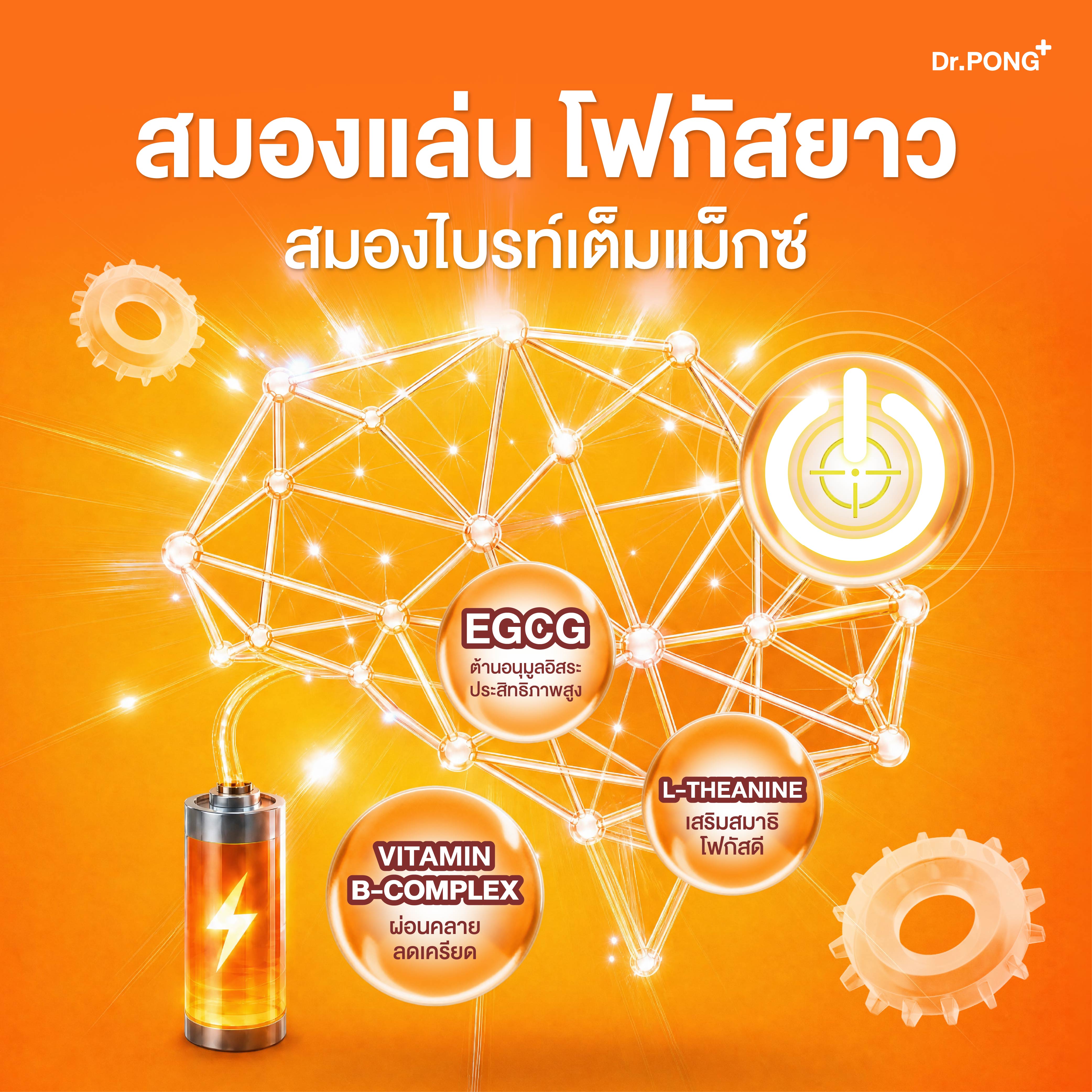 Dr.PONG INT + Focus On with B-Complex