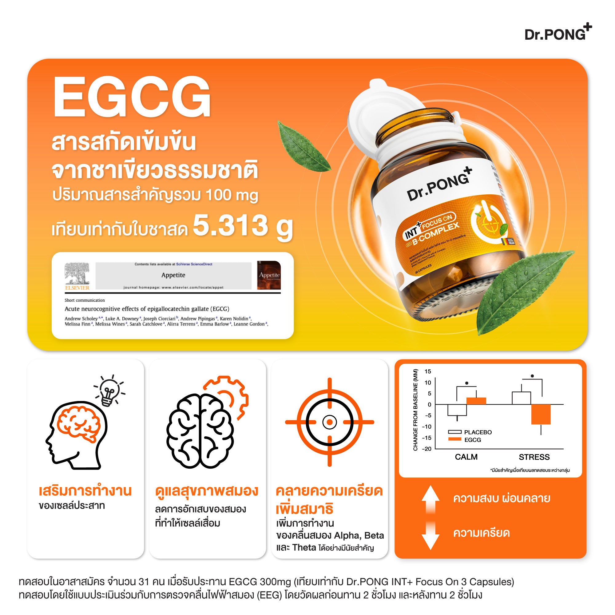 Dr.PONG INT + Focus On with B-Complex