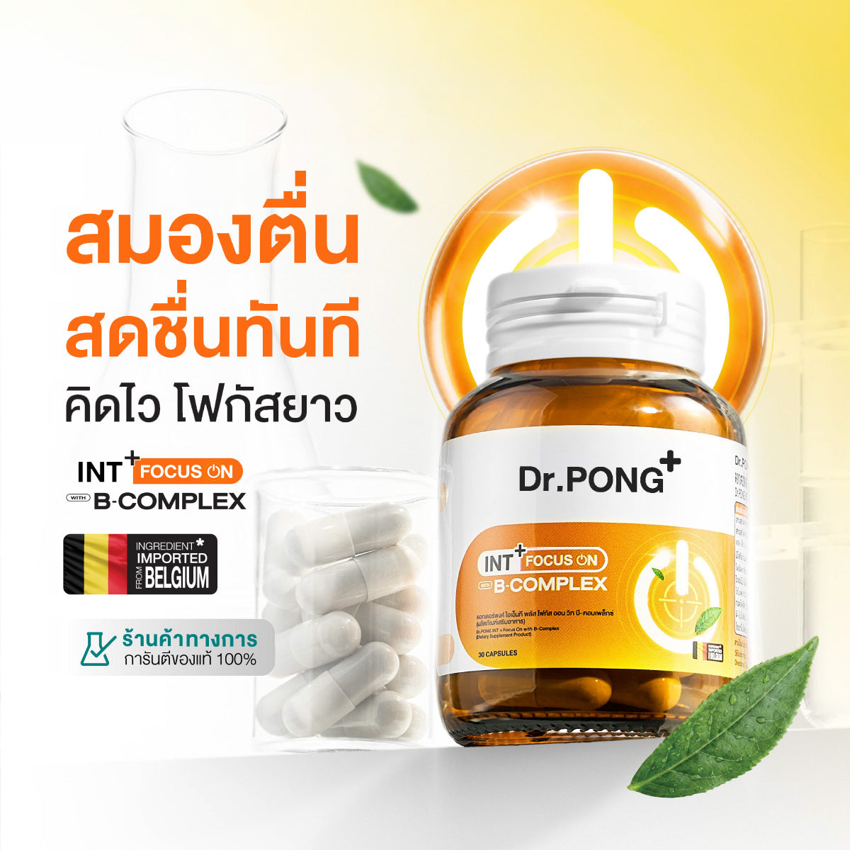 Dr.PONG INT + Focus On with B-Complex