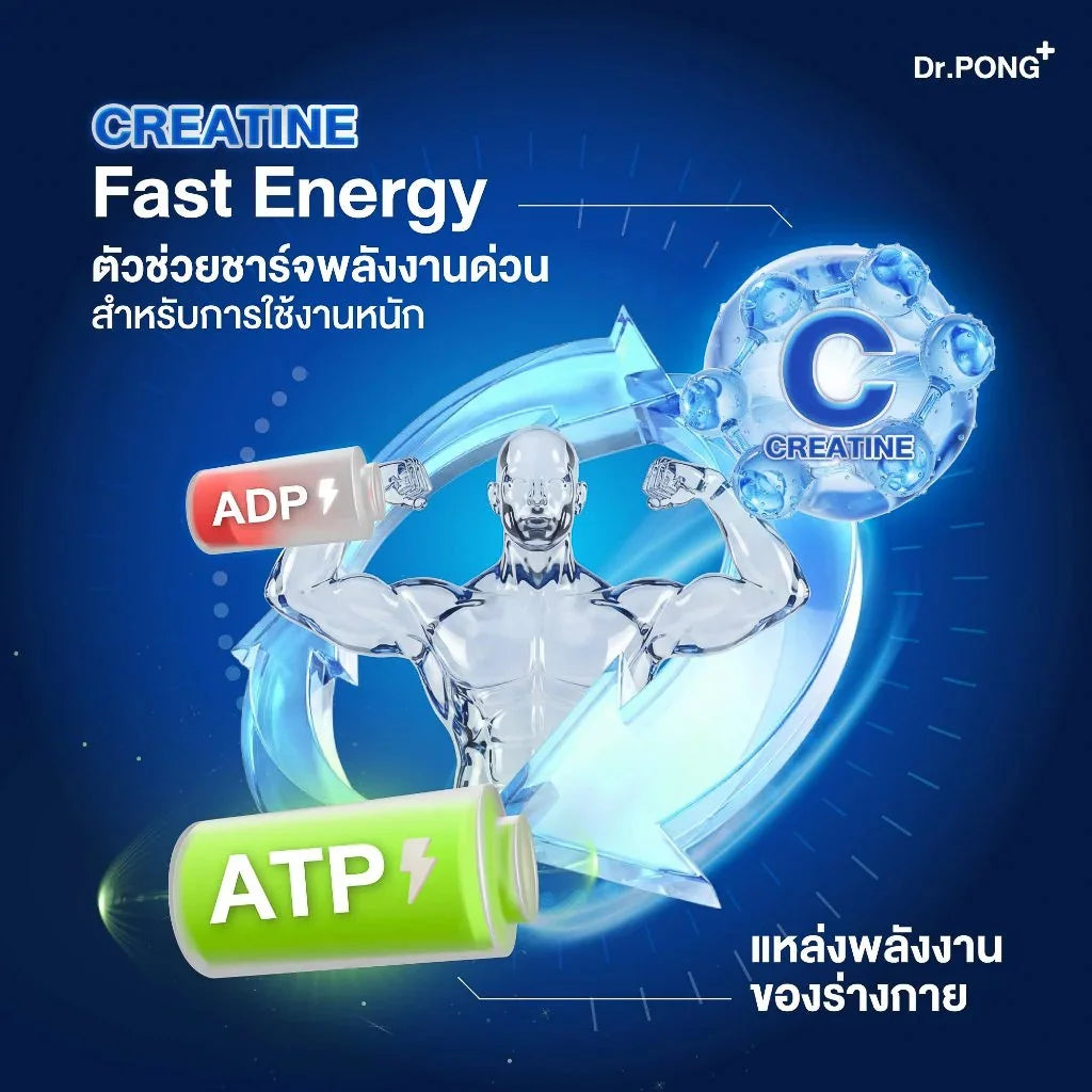Dr.PONG MICRONIZED CREATINE MONOHYDRATE 312g