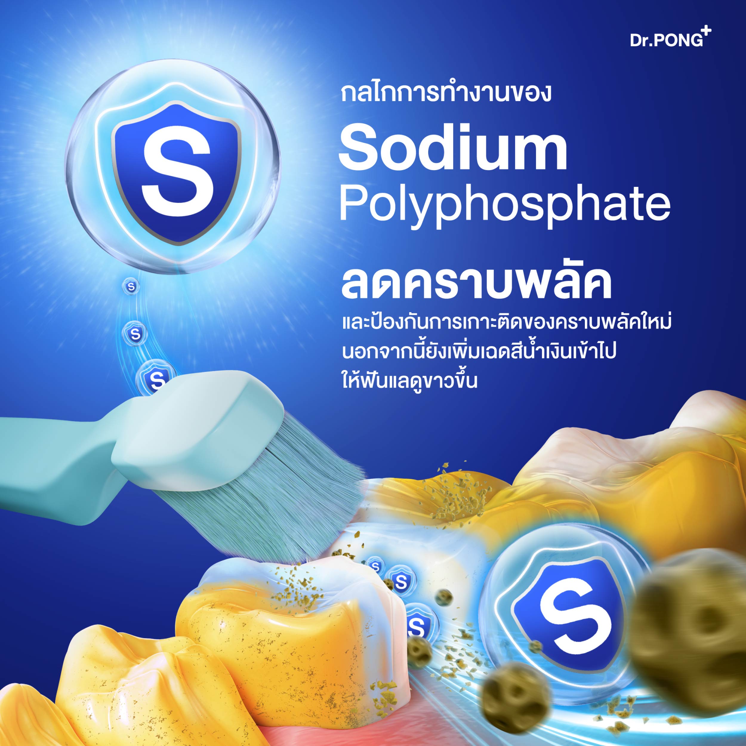 [Set] Y2B WHITENING COLOR TOOTHPASTE and TOOTHGEL