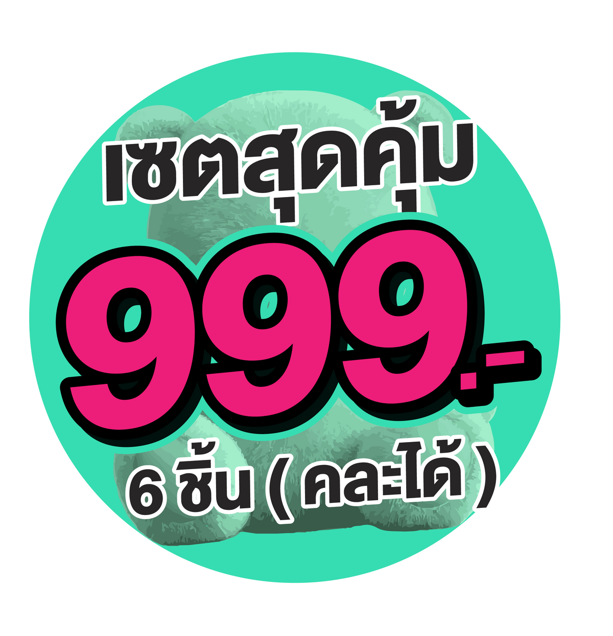 6 ชิ้น 999 บาท
