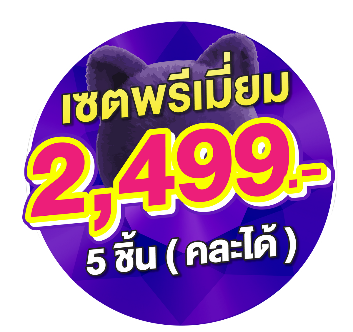 5 ชิ้น 2,499 บาท